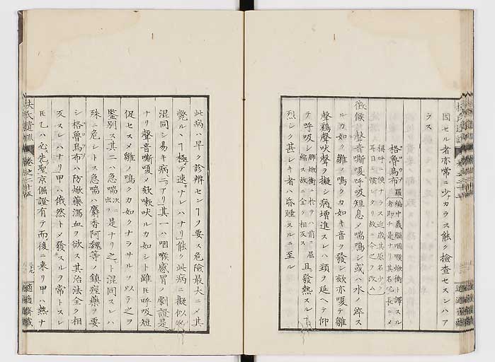 K0125s0877