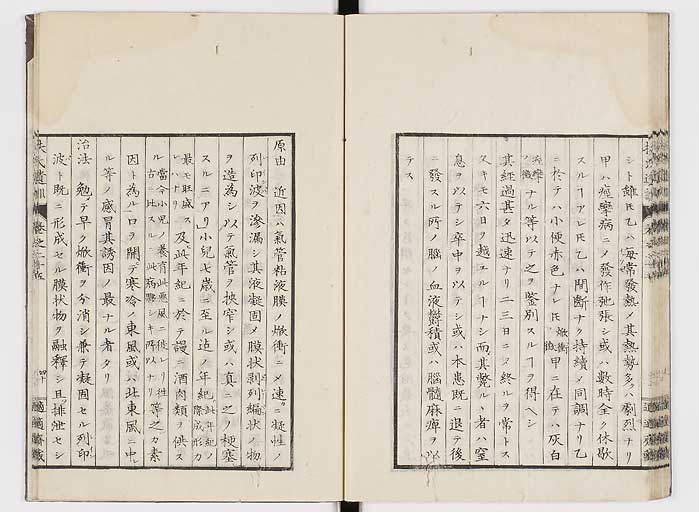 K0125s0878