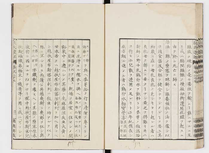K0125s0889