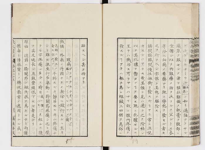 K0125s0890