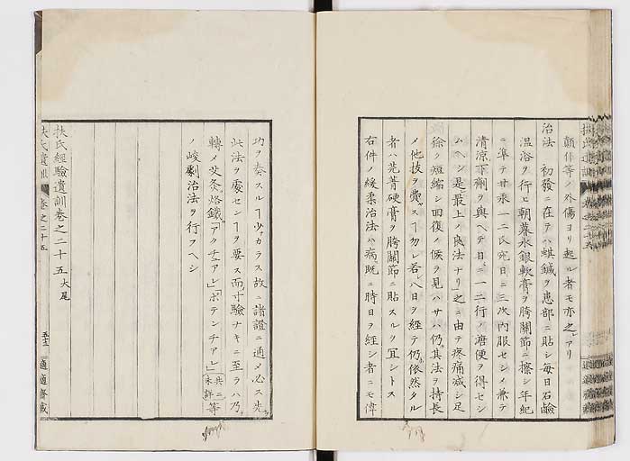 K0125s0891