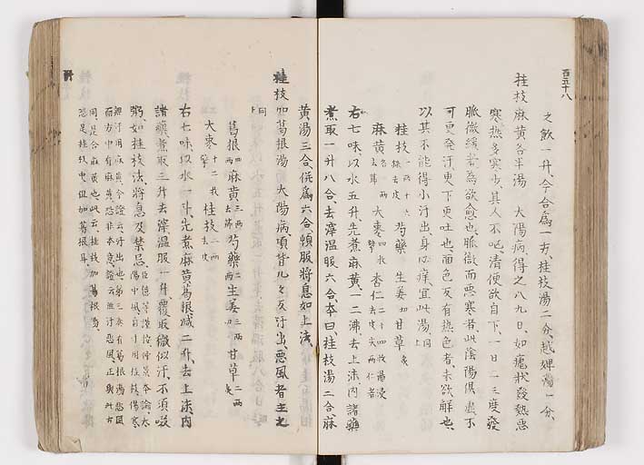 K0126s0196
