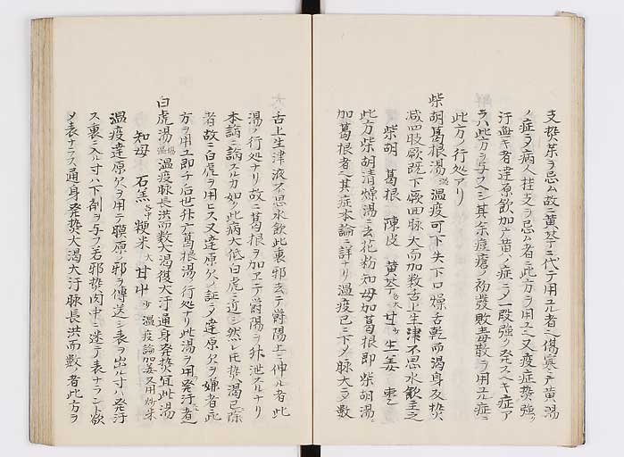 K0127s0019