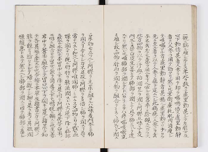 K0127s0096