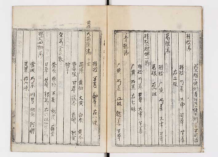 K0128s0010