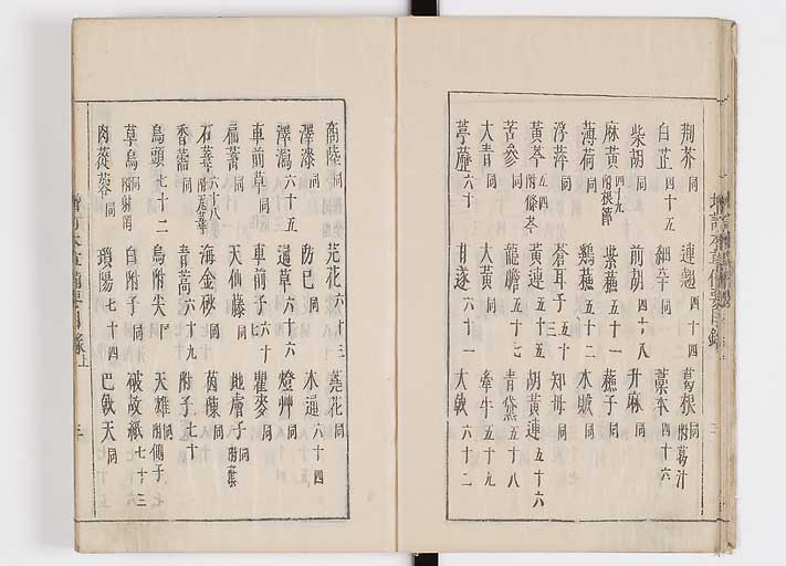K0132s0019