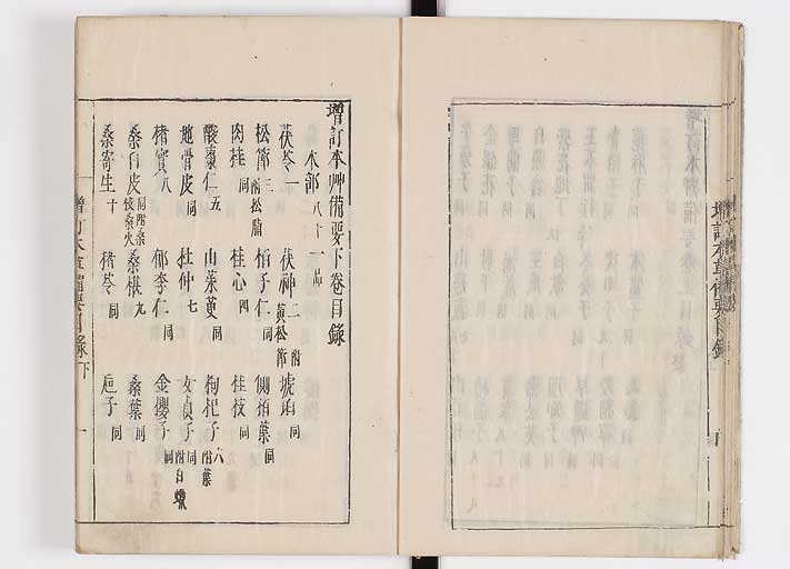 K0132s0021