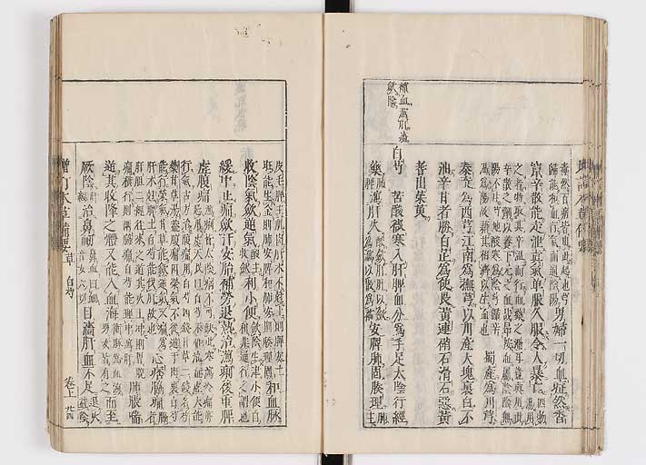 K0132s0050