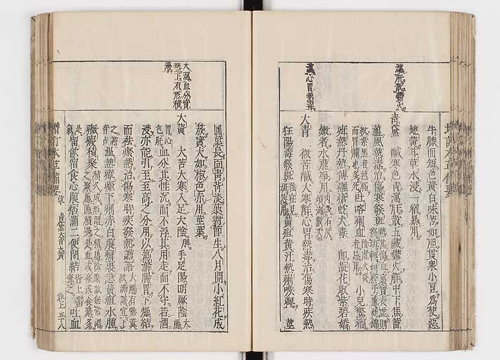 K0132s0084