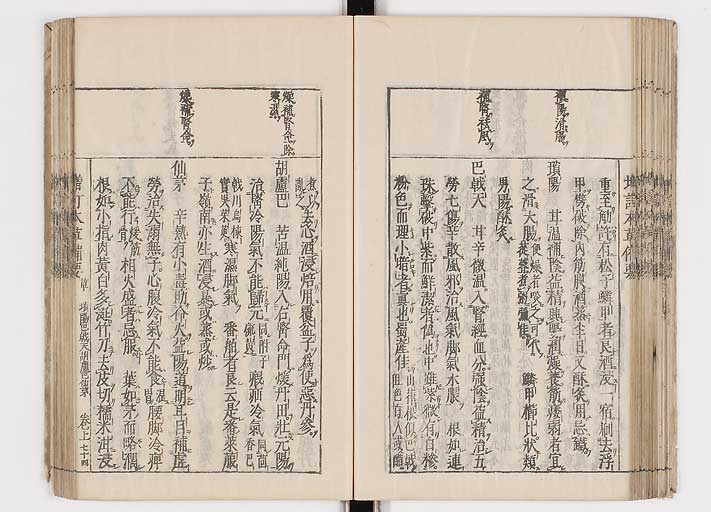 K0132s0100