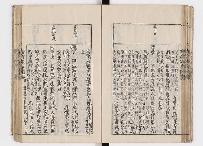 K0132s0110