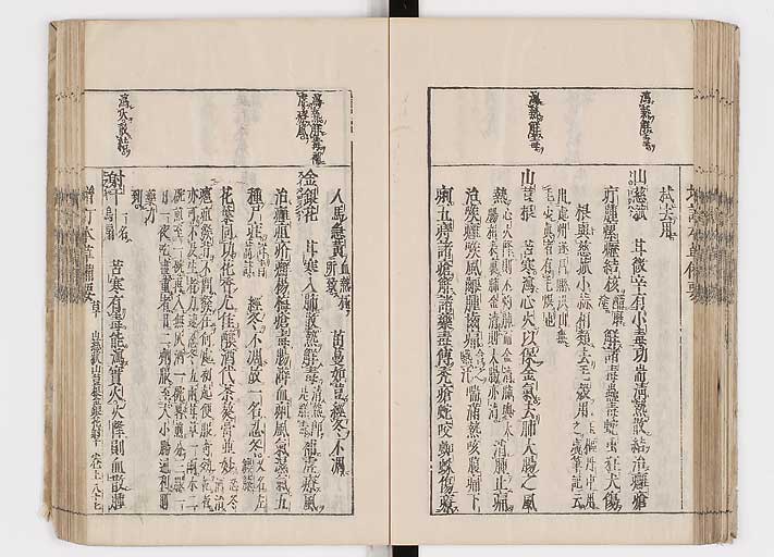 K0132s0113