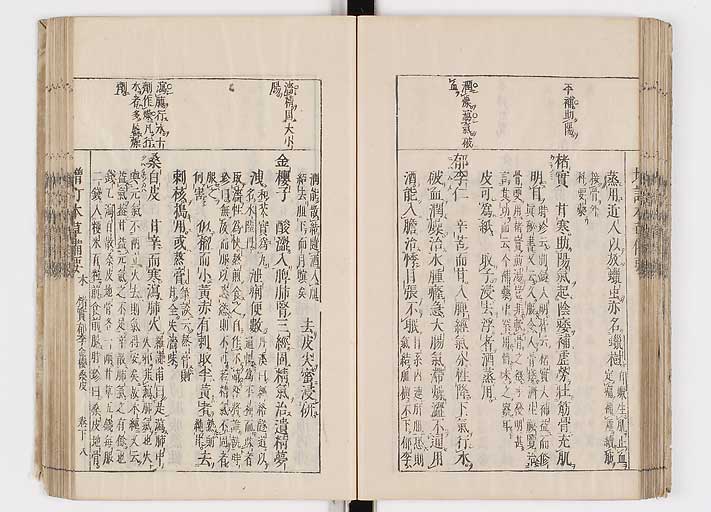 K0132s0126