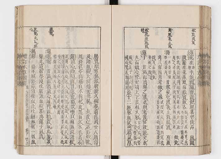 K0132s0161