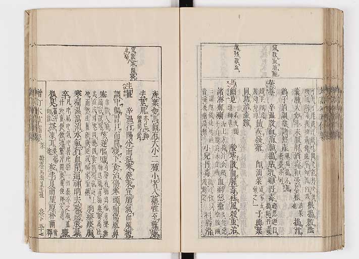 K0132s0175