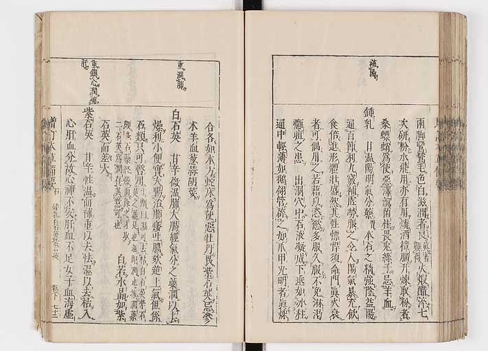 K0132s0190