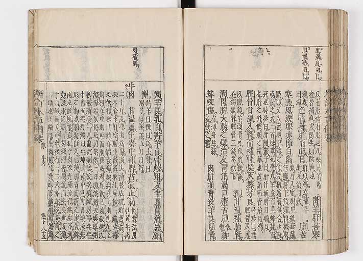 K0132s0203
