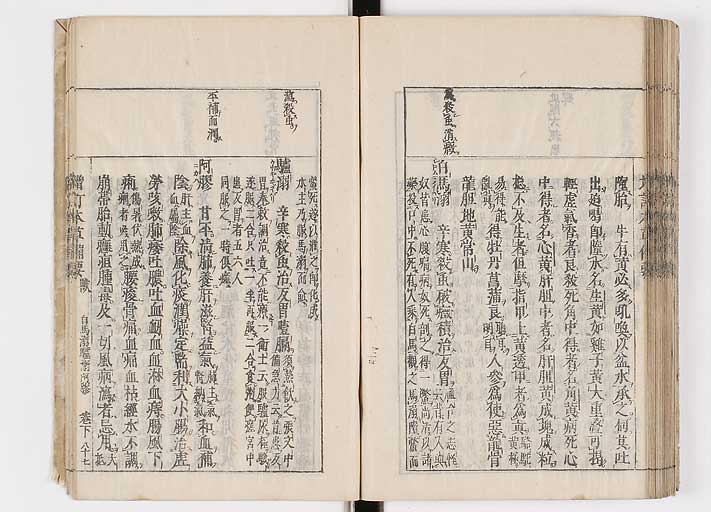 K0132s0205