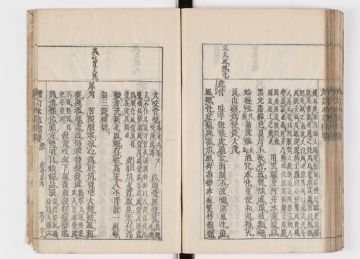 K0132s0206