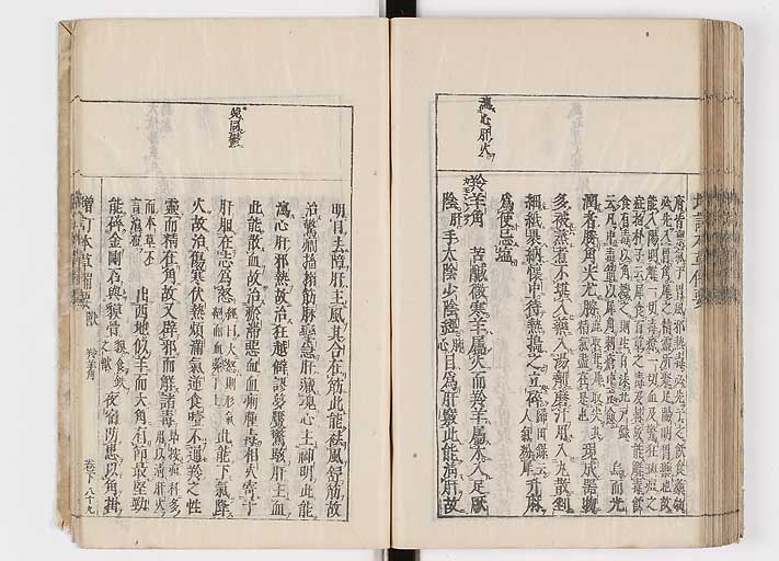 K0132s0207