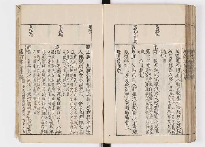 K0132s0212
