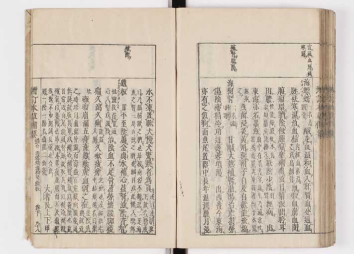 K0132s0216