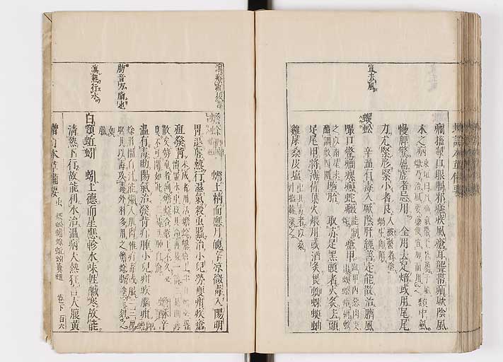 K0132s0224
