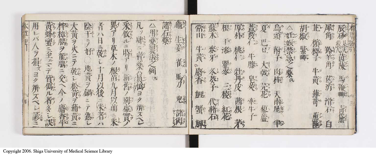 K0133l0006