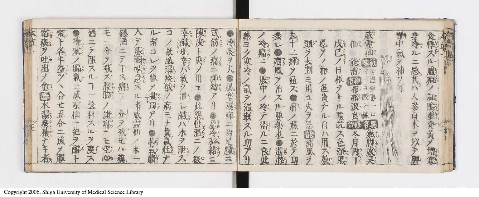 K0133l0017
