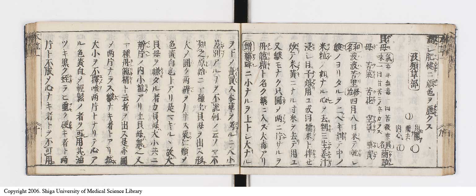 K0133l0024