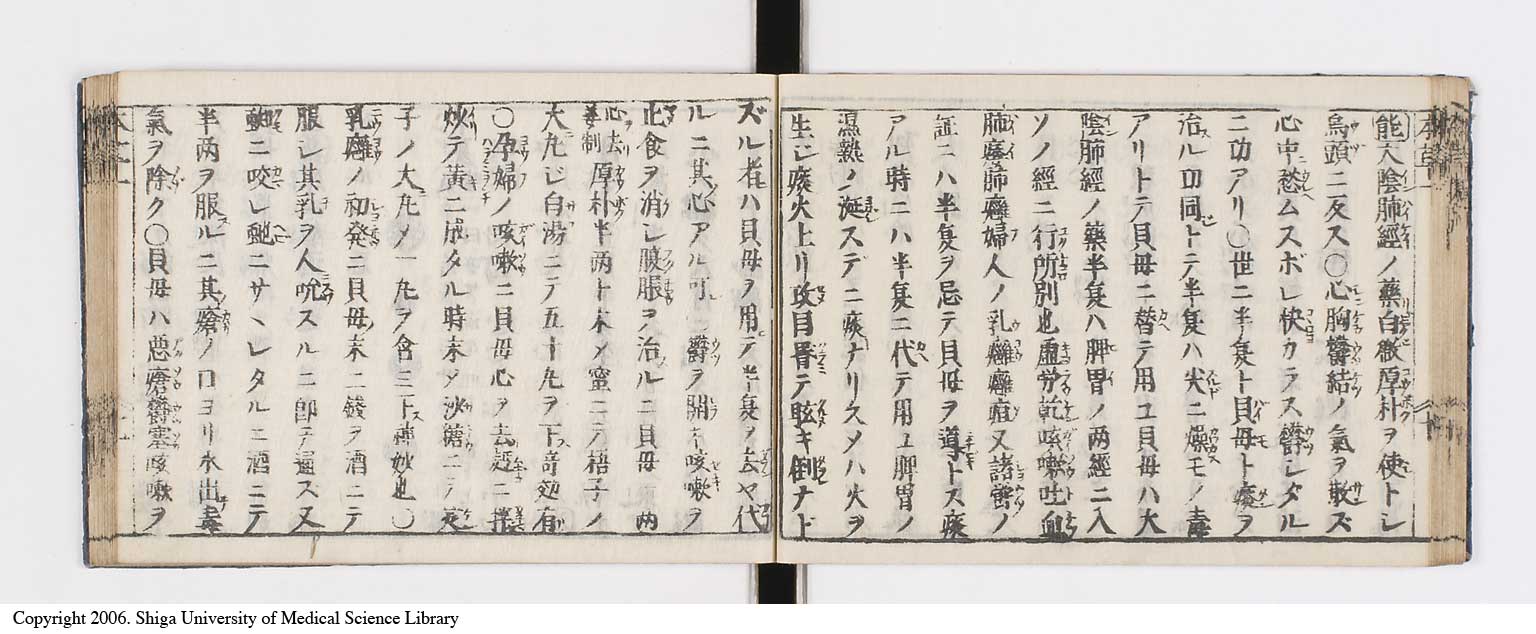 K0133l0025