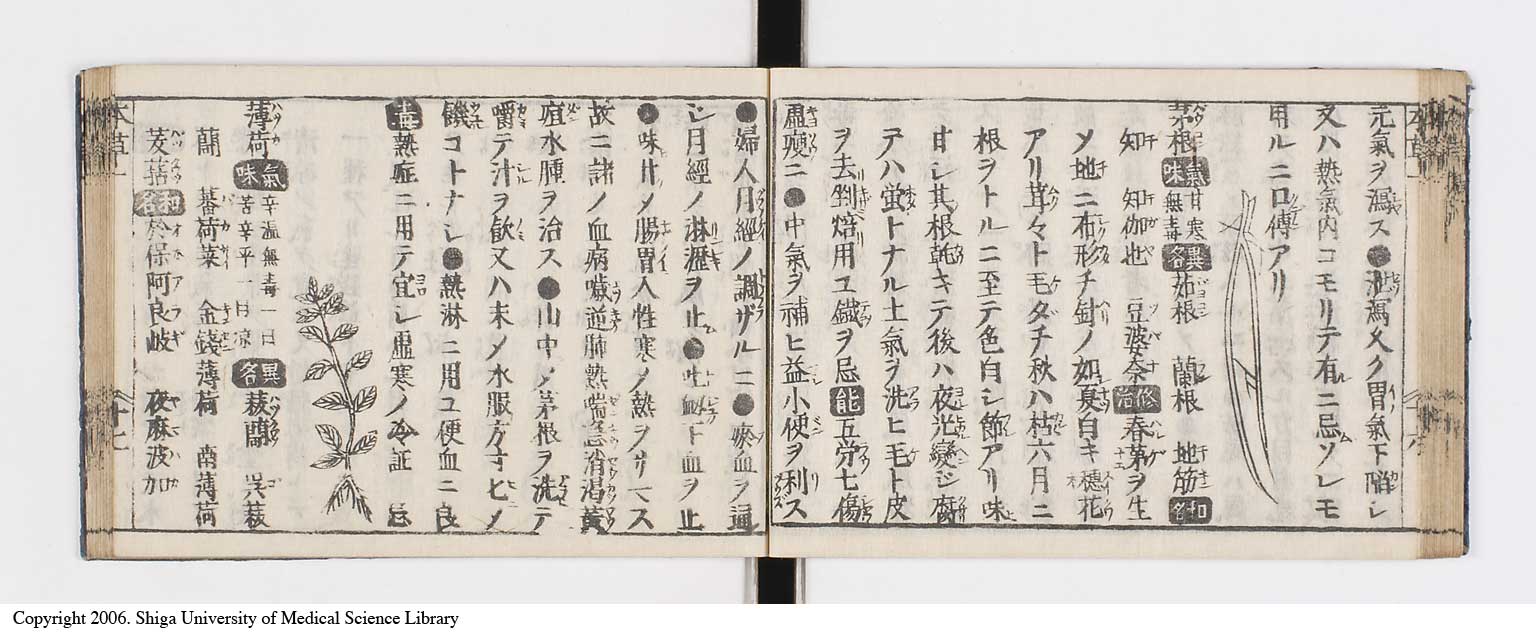 K0133l0031