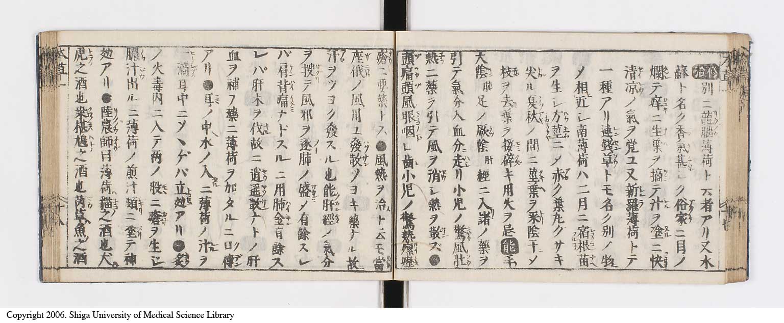 K0133l0032