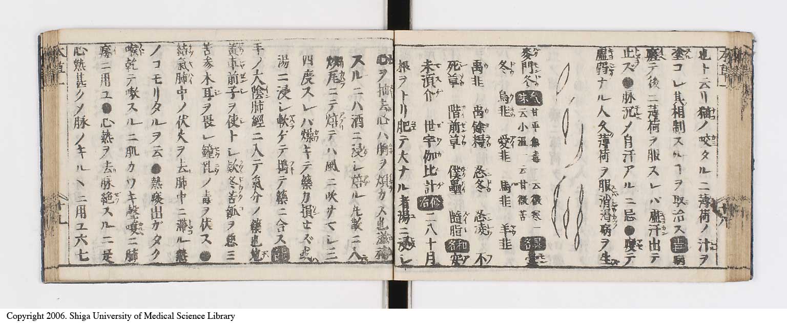 K0133l0033