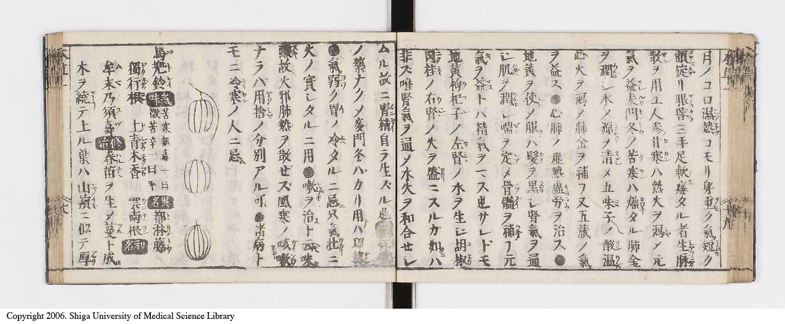 K0133l0034