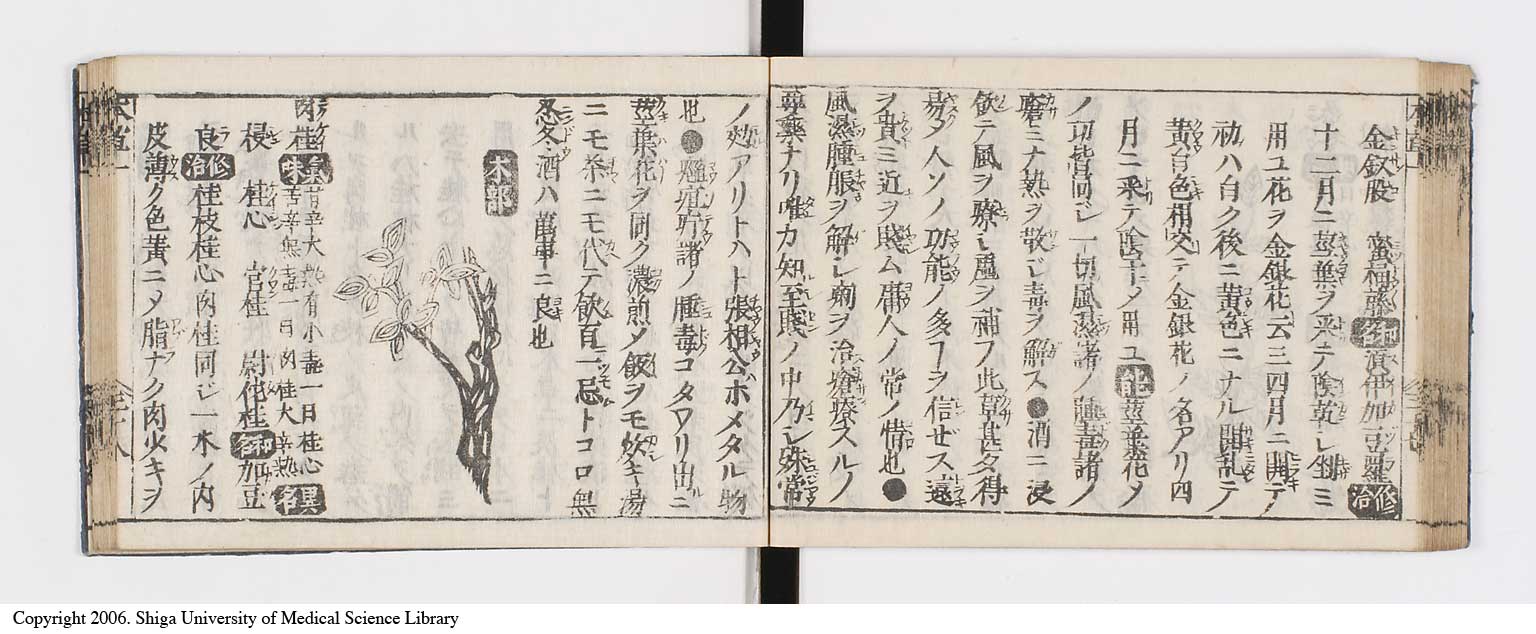 K0133l0052
