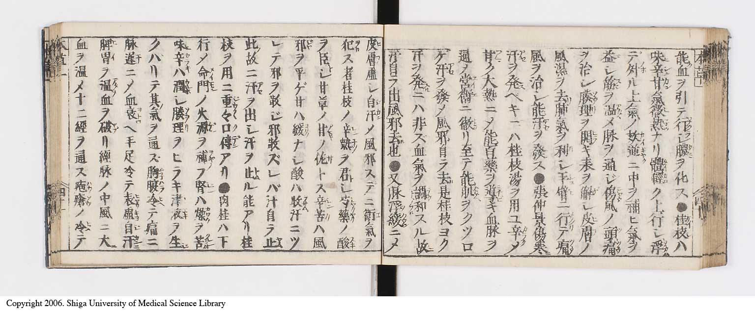 K0133l0055