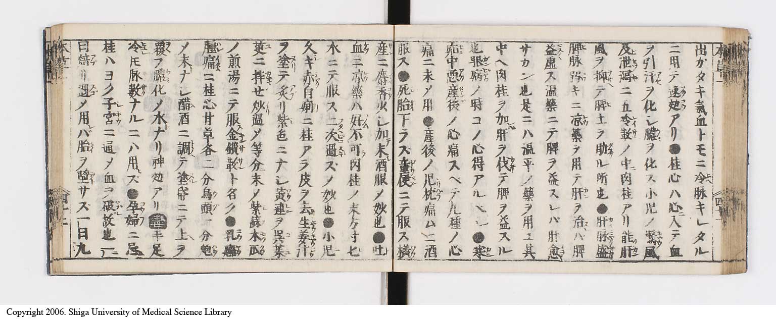 K0133l0056