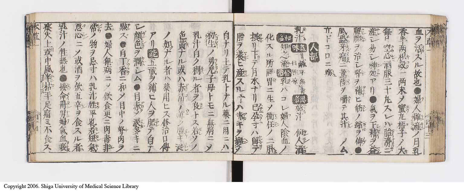 K0133l0058