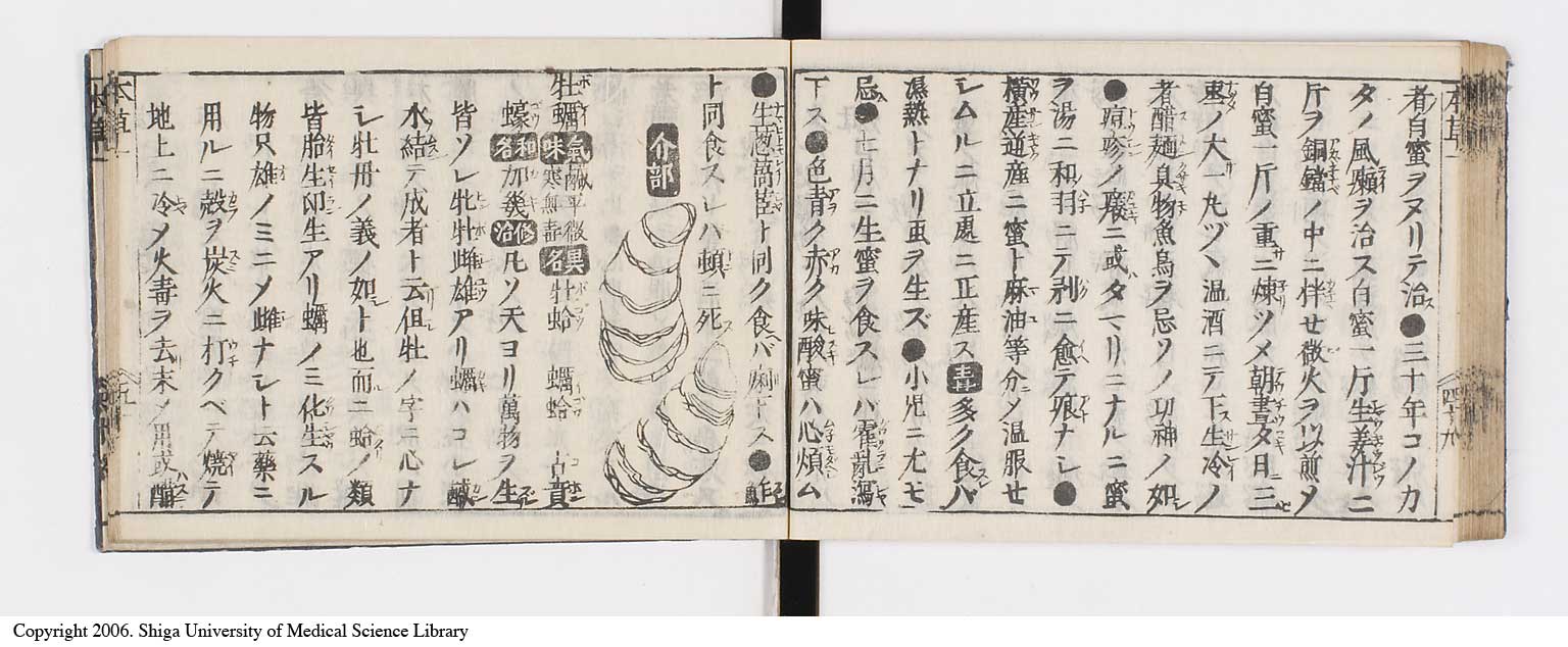 K0133l0064