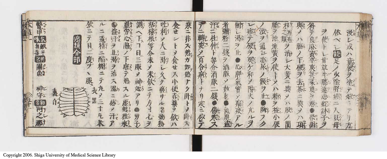 K0133l0065
