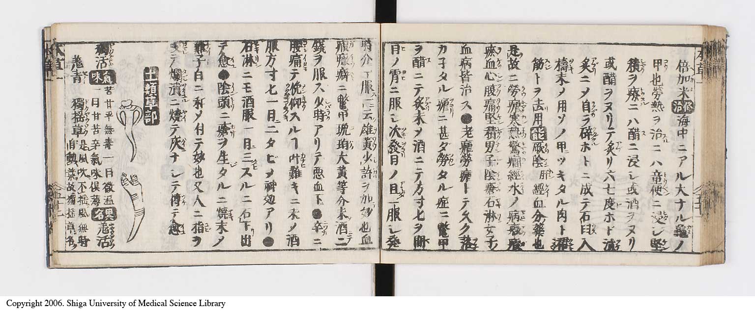 K0133l0066