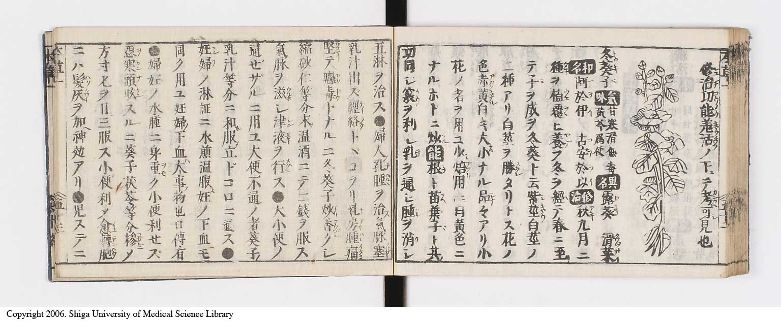 K0133l0067
