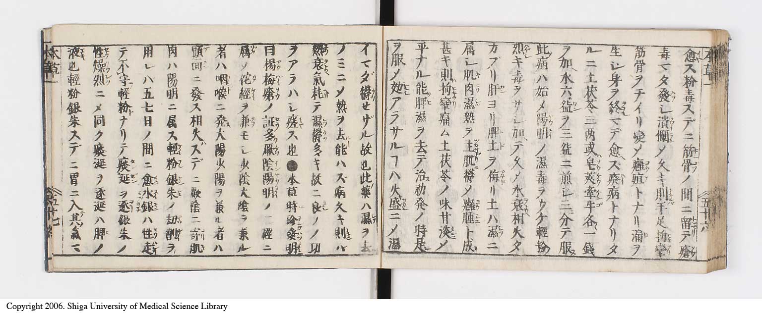K0133l0071