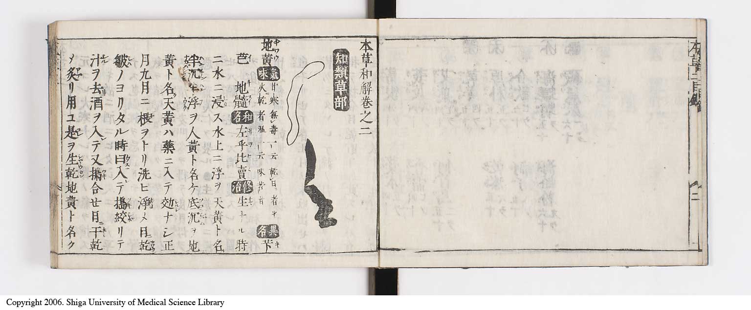 K0133l0079