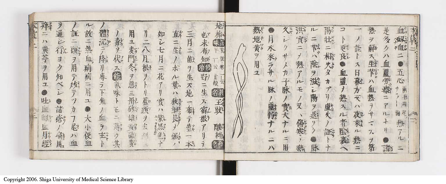 K0133l0081