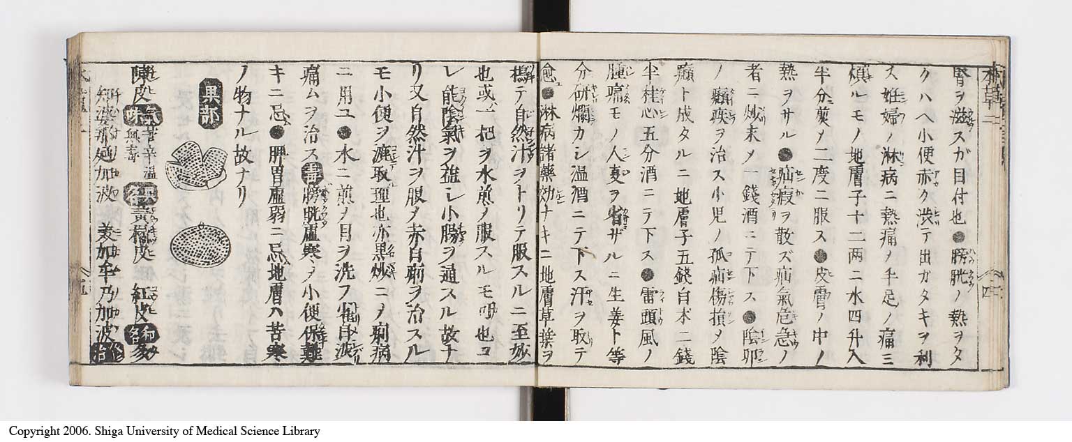 K0133l0083