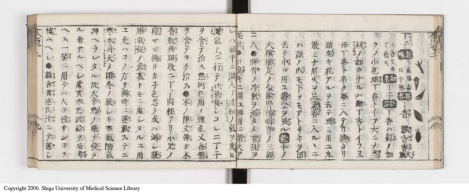 K0133l0087