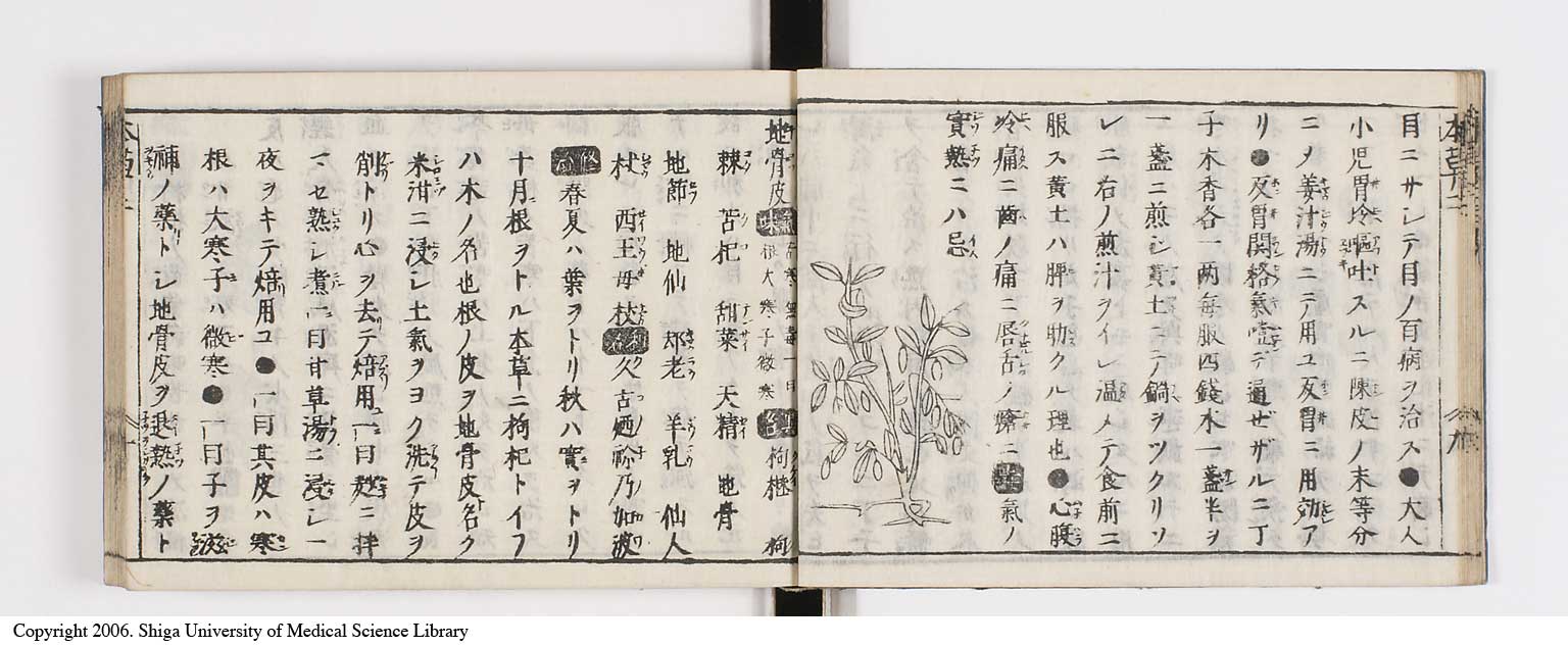 K0133l0088