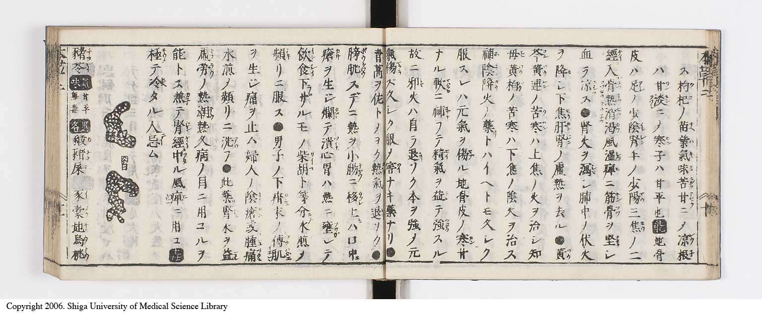 K0133l0089